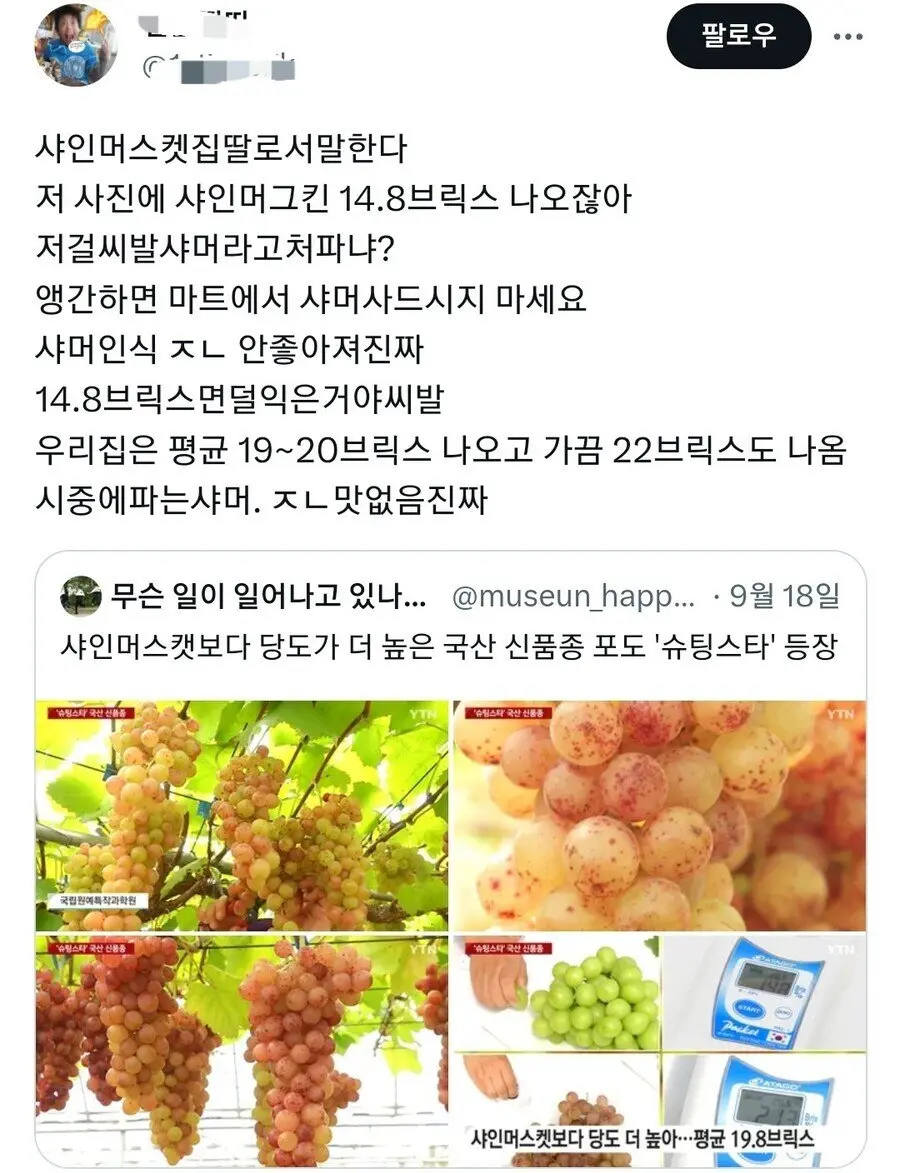 포도 신품종 ‘슈팅스타’ 뉴스 보고 빡친 샤인머스켓집 딸 | mbong.kr 엠봉