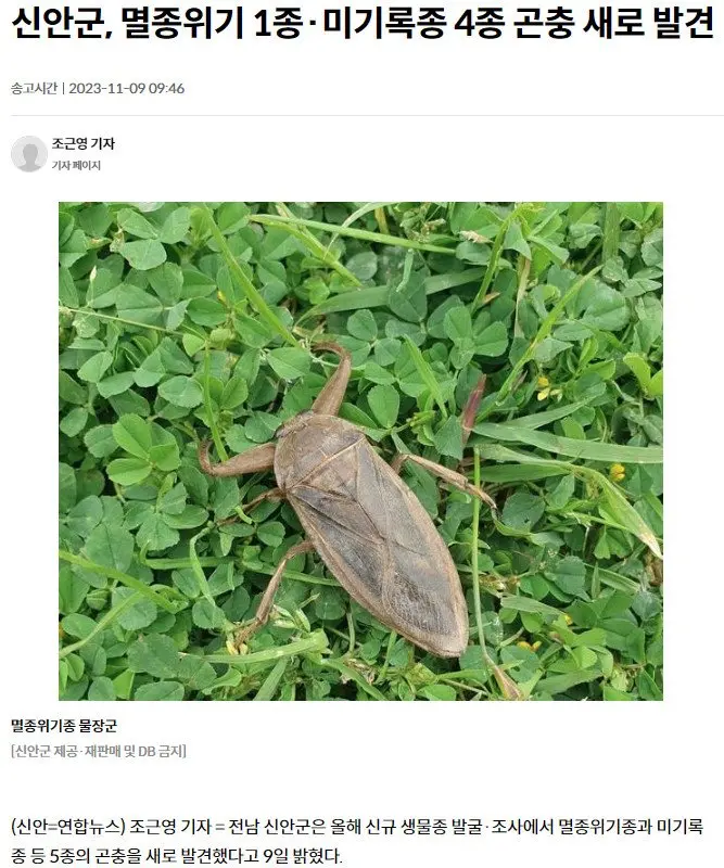 신안군에서 미기록종 곤충 4종 추가 발견 | mbong.kr 엠봉